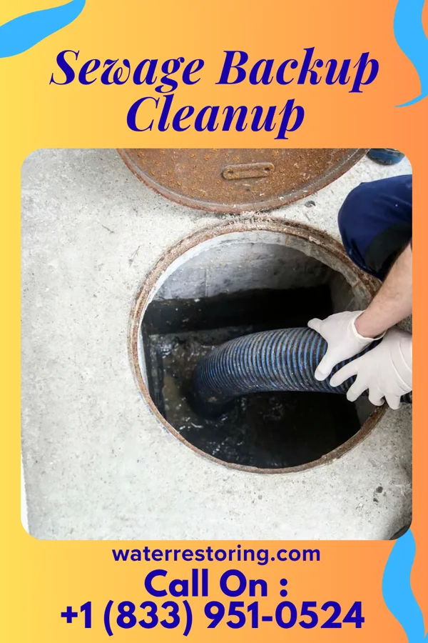 Sewage Backup Cleanup in Sanford, ME